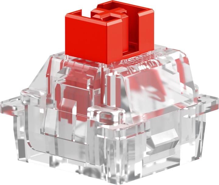 Actual product image Glorious HE Switches (36pcs) - Fox - Lubed - (Linear) 45g