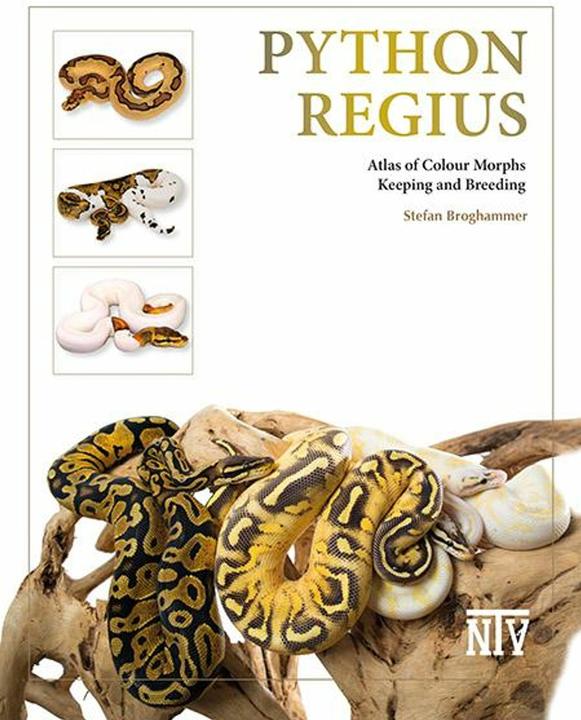 Actual product image Python regius (English, Stefan Broghammer, 2025)
