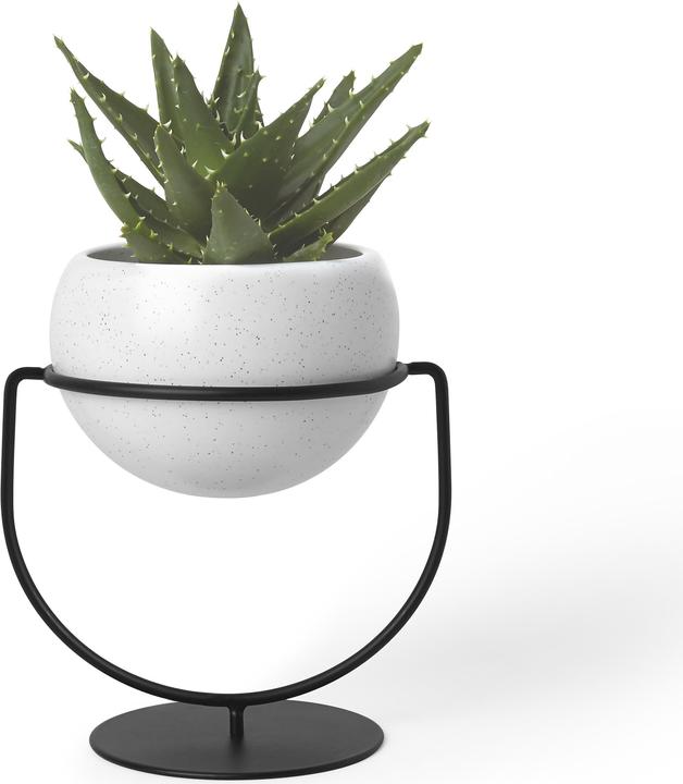 Actual product image Umbra Nesta (13.80 x 17 x 19.30 cm)