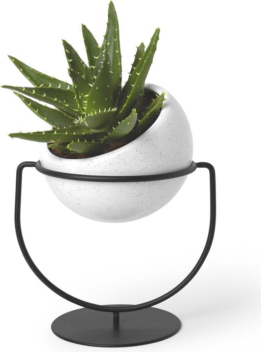 Actual product image Umbra Nesta (13.80 x 17 x 19.30 cm)