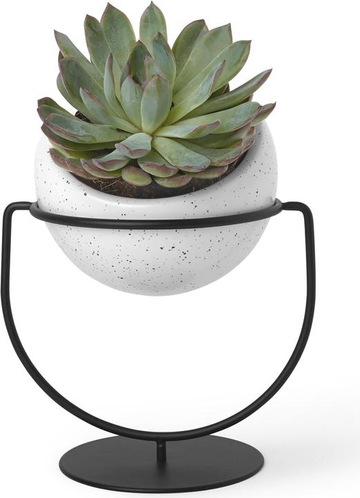 Actual product image Umbra Nesta (13.80 x 17 x 19.30 cm)