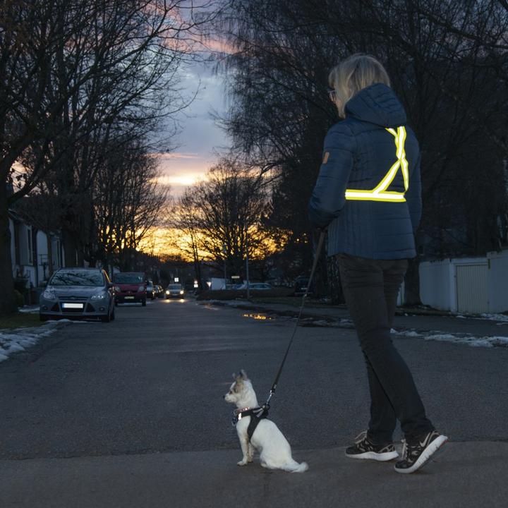 Image du produit Hama Ceinture de sécurité