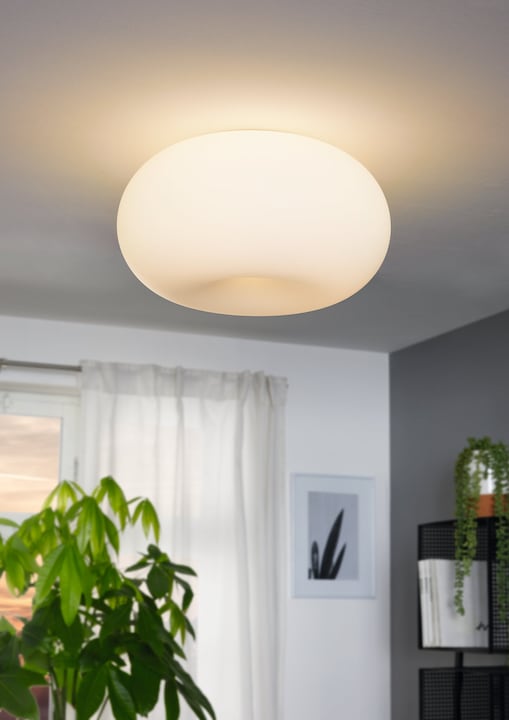 Actual product image EGLO Optica (E27)