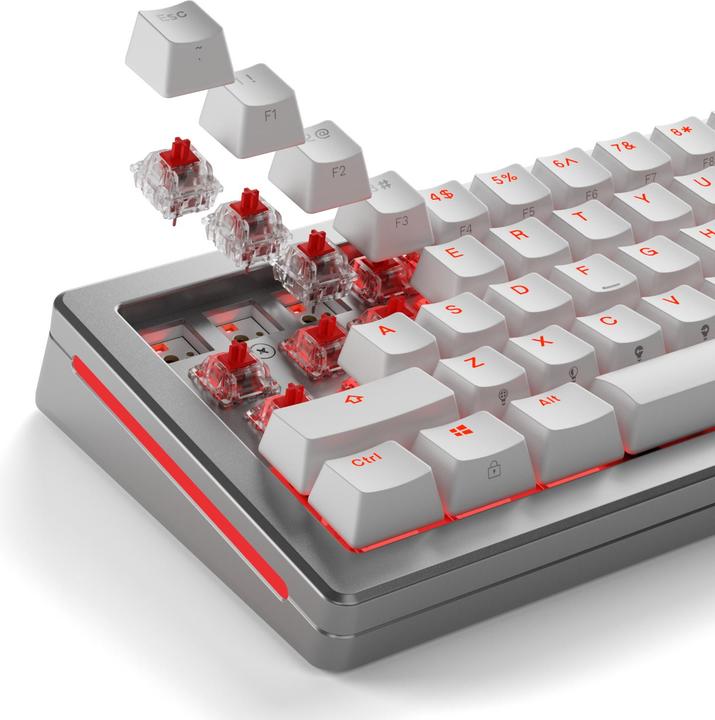 Actual product image Glorious Mechanical Switches (110pcs) - Fox - Lubed (Linear) 45g