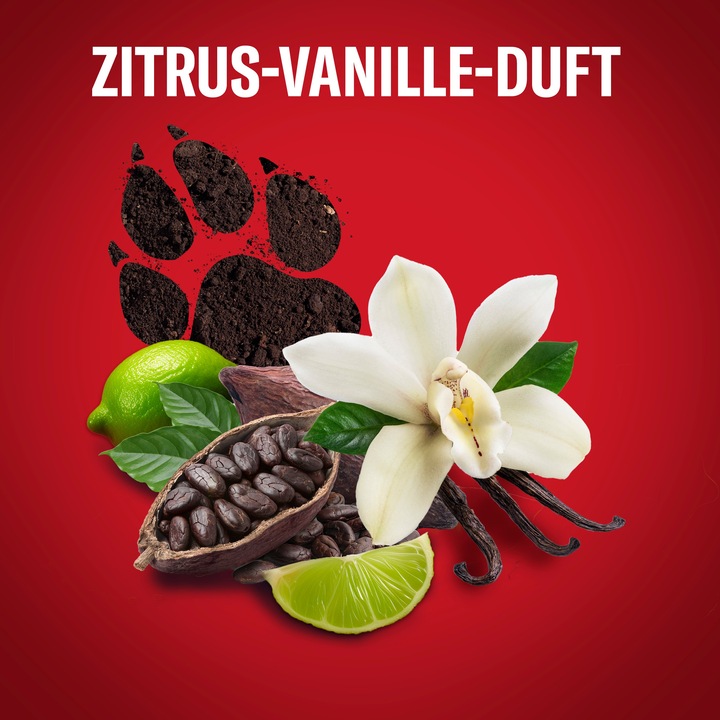Image du produit Old Spice Shampooing & Body Wash Night Panther Shampooing pour cheveux (1000 ml, Shampoing liquide)