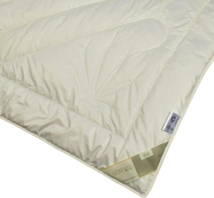 Produktbild Traumschlaf Bio Hanf (1300 g, 200 x 220 cm)