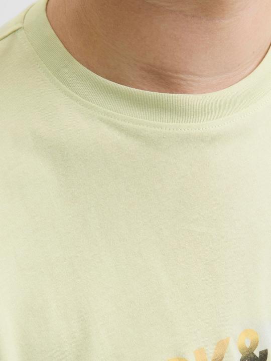 Actual product image Jack & Jones Plus Size T-shirt T-shirt (3XL)