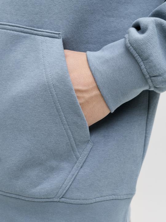 Produktbild Jack & Jones Jjesoho Sweat Hood Noos (L)