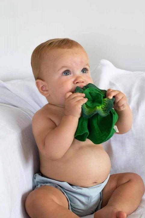 Produktbild Oli and Carol Mini Doudou - Teether Kendall the Kale
