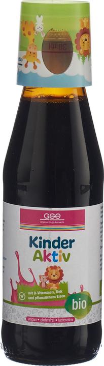 Actual product image GSE Children Active Complex Bio liq (1 Piece, Liquid, 592 g)