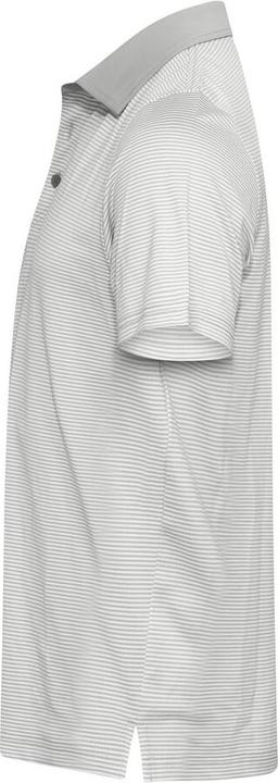 Produktbild Cutter & Buck Virtue Polo Stripes Men (L)