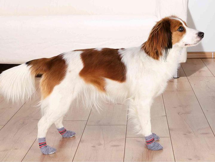 Actual product image Trixie Dog socks (S, XS, Dog socks)