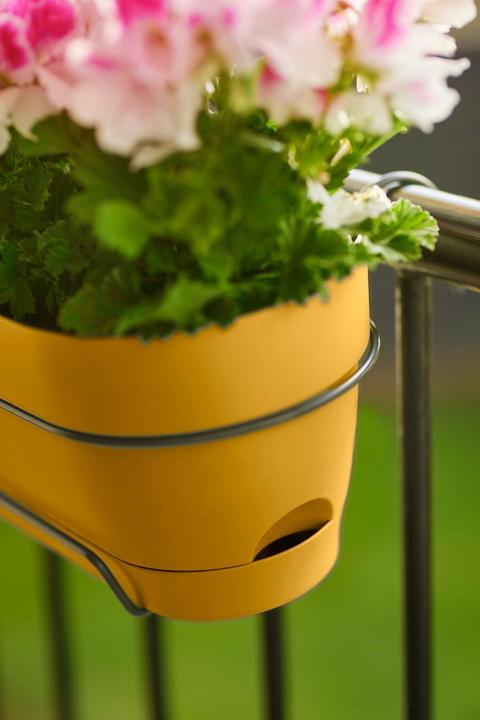 Image du produit Elho Vibia Campana Balcon Allin1 (50.40 x 26 x 17 cm)
