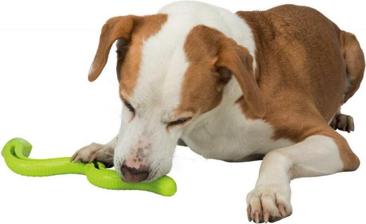 Immagine prodotto Trixie Snack-Snake TPR 42cm (Gioco da masticare per cani)