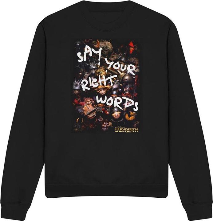 Produktbild Right Words Sweatshirt (XL)