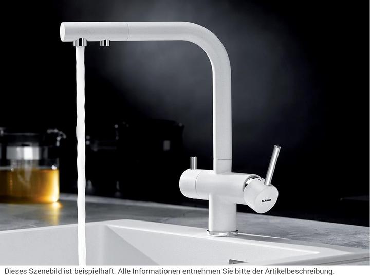 Actual product image Blanco Fontas-S II filter