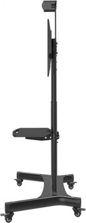 Actual product image Hagor Twin Stand Mobile Mobile Stand System (55", 50 kg)