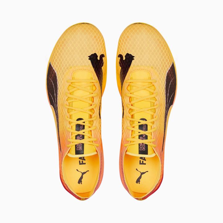 Produktbild Puma evoSPEED Distance Nitro Elit (46)