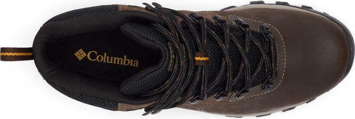 Actual product image Columbia Newton Ridge Plus II (41)