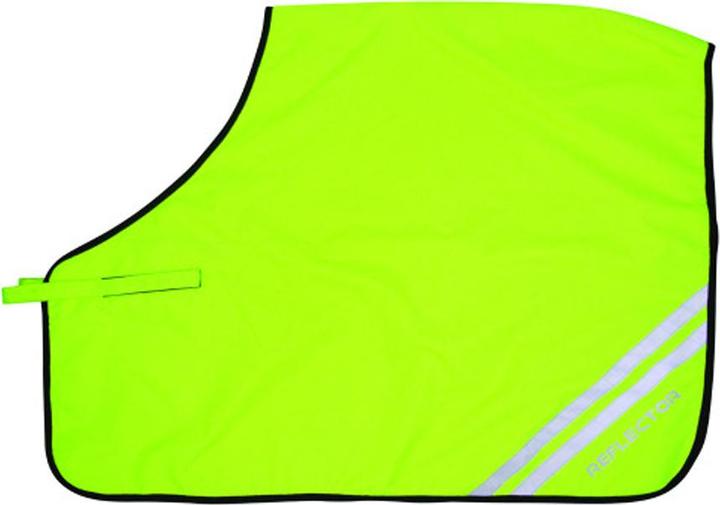 HyVIZ Reflector Mesh Horse Quarter Exercise Sheet