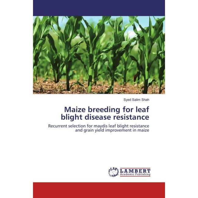 Maize breeding for leaf blight disease resistance, Fachbücher von Syed Salim Shah