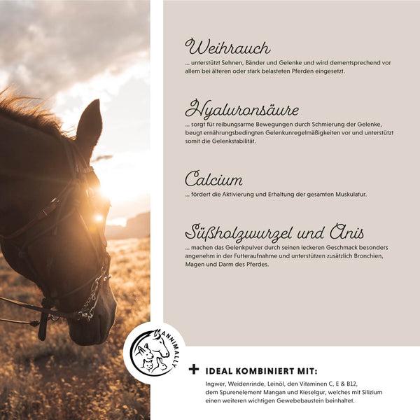 Produktbild Annimally Muskelpower Pulver - Nachfüllpackung (1 x, 2000 g)