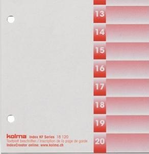 Actual product image Kolma Index A4 strong 1-20 20-piece grey