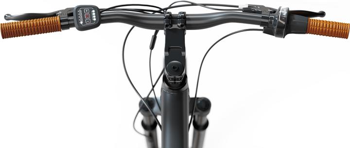 Produktbild Sharp E-BIKE BK-DM03-EB (46 cm)