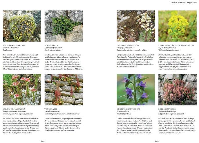 Actual product image Trockenmauern (German, Environmental Foundation (SUS), 2024)