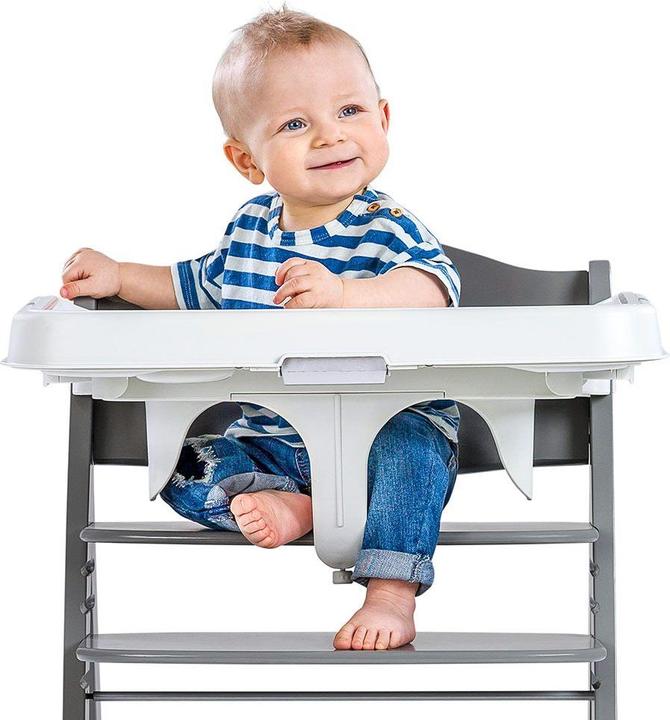 Actual product image Hauck alpha tray