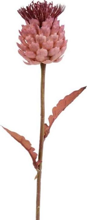 Immagine prodotto Bludeko Artischocke mauve 39cm (1)