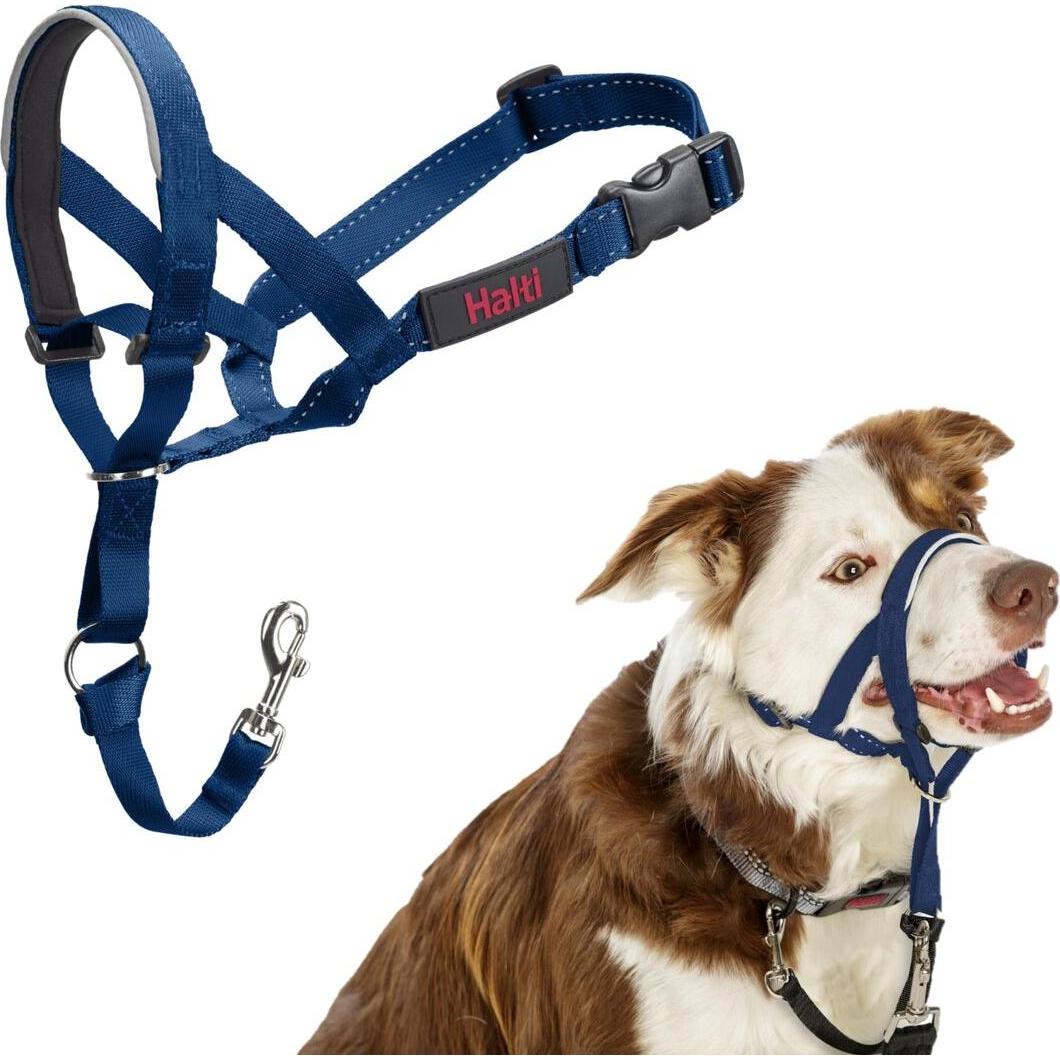 Meilleurs prix pour Muselière Company of Animals COBALT Bleu 2