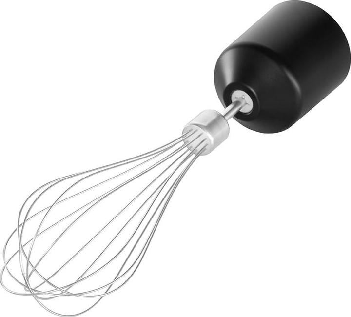 Actual product image Gastroback 40973 Powermix Stabmixer Professional