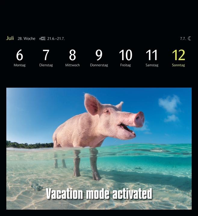 Actual product image Harenberg Animal Memes Postkartenkalender 2026 - 53 tierisch witzige Postkarten (Hardcover, English, German)