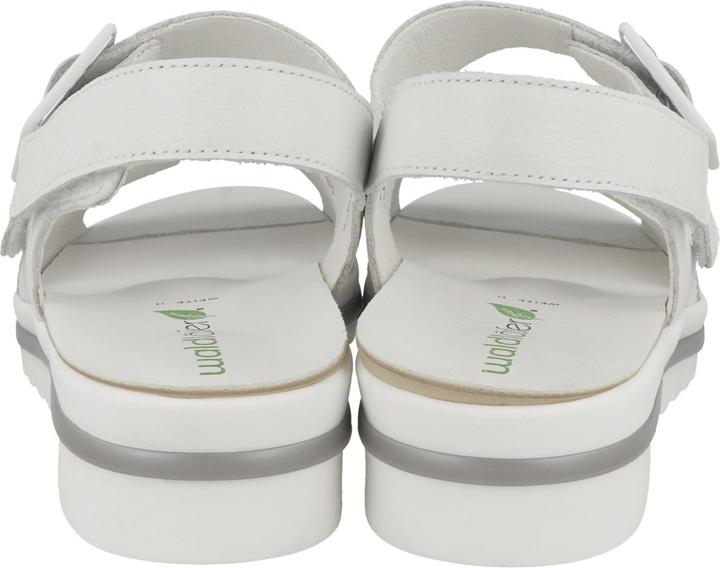 Actual product image Waldläufer Hakura - 64401 (42)