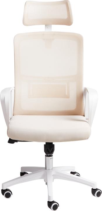 Produktbild Beliani Monarch (35 - 45 cm)