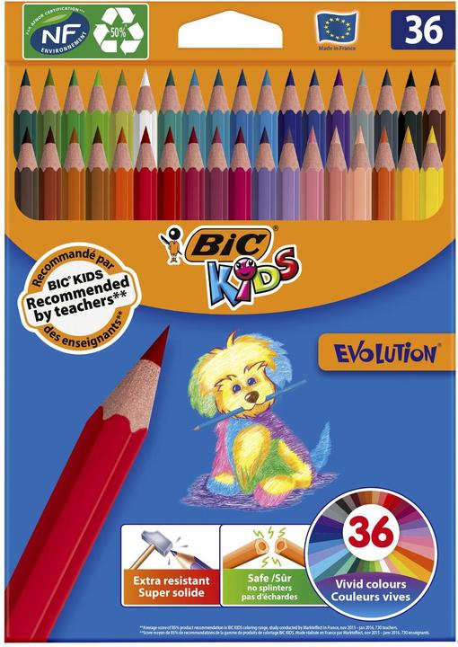 Image du produit Bic Crayons de couleur Kids Ecolution Evolution (36x)