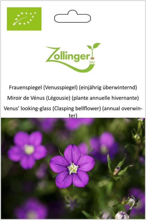 Produktbild Zollinger Bio Frauenspiegel (Venusspiegel) (einjährig überwinternd) (Blumenzwiebeln)