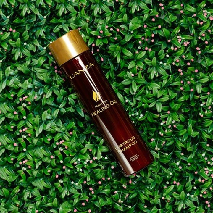 Produktbild L'Anza Keratin Healing Oil - Shampoo (950 ml, Flüssiges Shampoo)