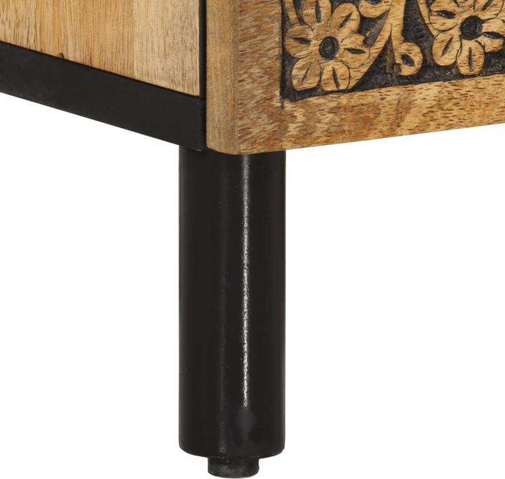 Image du produit vidaXL Meuble TV (100 x 33 x 46 cm)