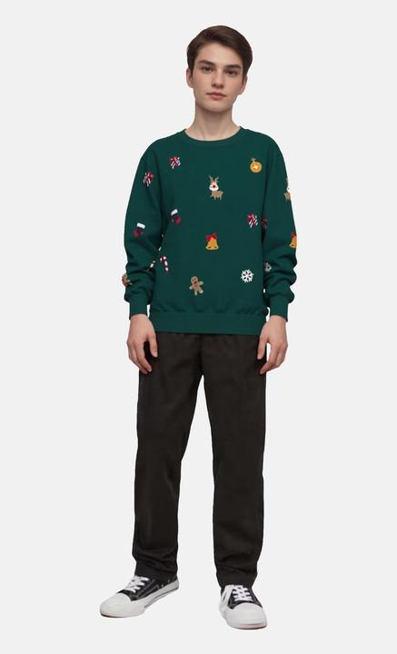 Image du produit Name it Pullover KRINGLE Sweatshirt (146, 152)