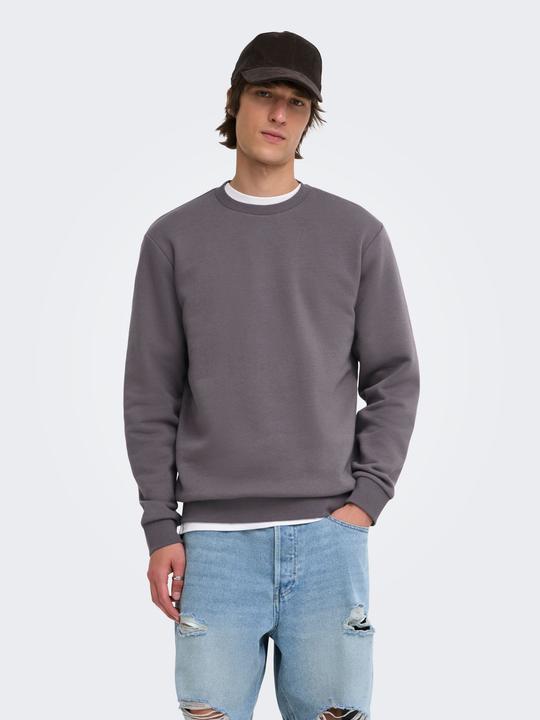 Actual product image Only & Sons Onsceres Crew Neck Noos (L)