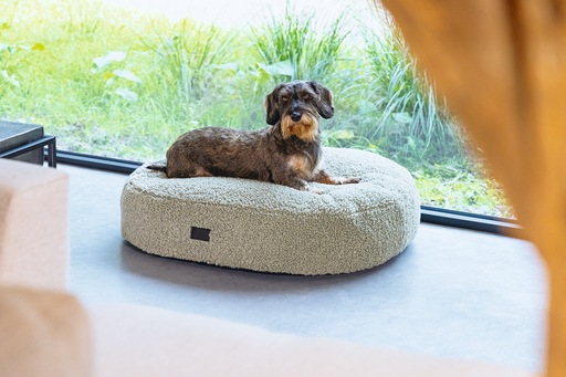 Productafbeelding Designed by Lotte Geribbeld (Hond)