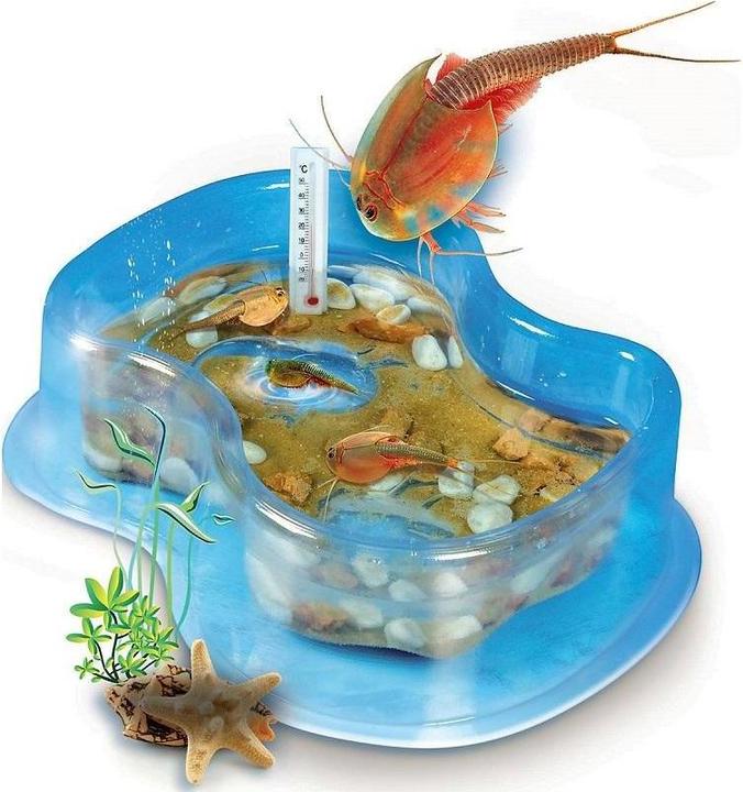 Produktbild Galileo Original Triops Starter-Set