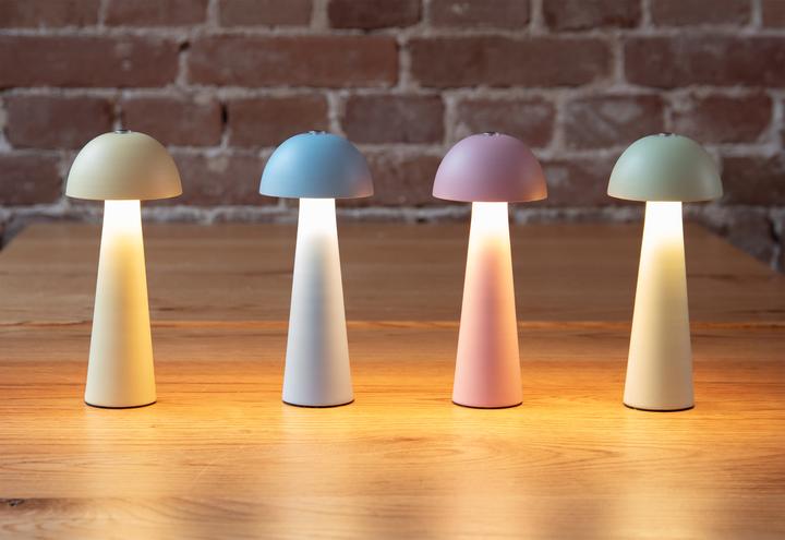 Actual product image Leitmotiv Table Lamp Mini LED Dome