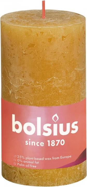 Actual product image Bolsius Andres (4 pcs.)