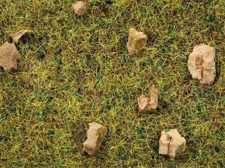 Produktbild Noch Streugras Steinige Bergwiese 8