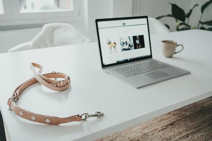 Image du produit Hunter Longe de présentation réglable Swiss en cuir véritable (Chien, Sport canin)