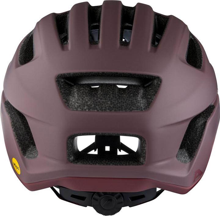 Produktbild ALPINA SPORTS Paranus Mips (52 - 56 cm)