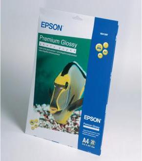 Productafbeelding Epson Mat papier Zwaargewicht (167 g/m², A4, 50 x)